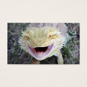 Dragon barbu heureux superbe