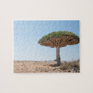 Dragon Blood Tree Jigsaw Puzzle