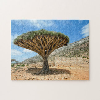 Dragon Blood Tree, Socotra Island, Yemen Jigsaw Puzzle