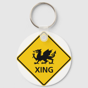 Dragon Crossing Highway Sign Keychain