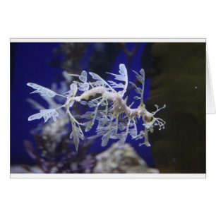 Dragon de mer verdoyant