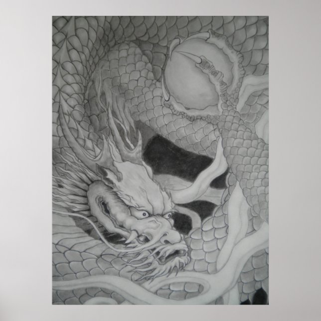 Dragon dragon Suiboku Ga Furyu Poster (Front)