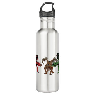 Dragon Family 710 Ml Water Bottle