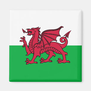 Dragon Flag of Wales, Celtic Welsh National Flag Magnet