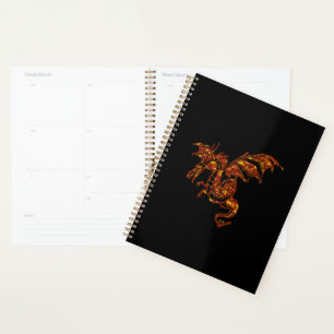 Dragon flamboyant sur noir