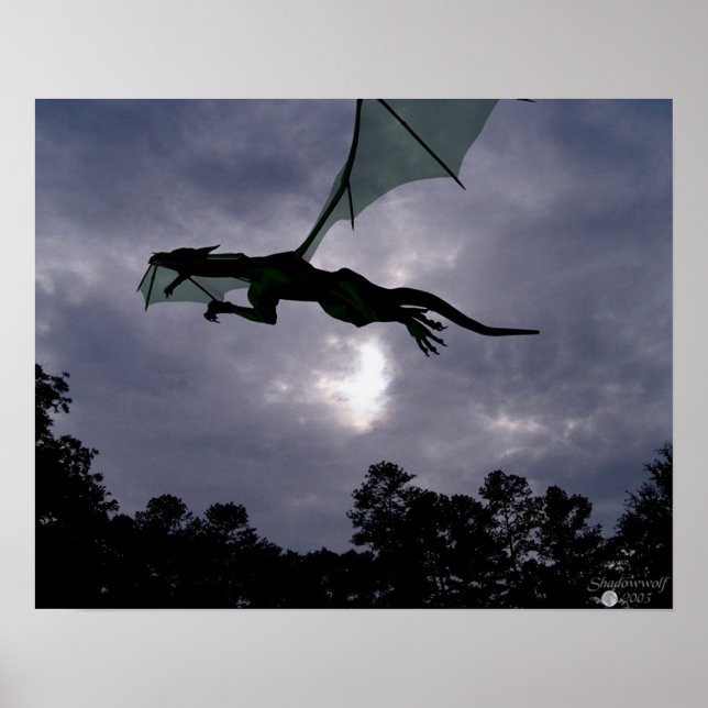 Dragon Flight Poster (Front)