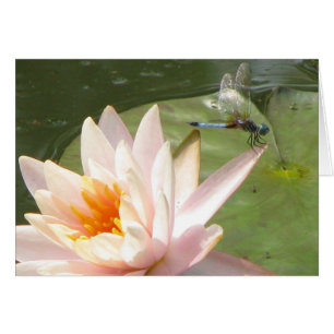 Dragon fly