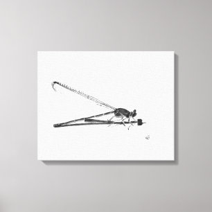 Dragon Fly Canvas Print
