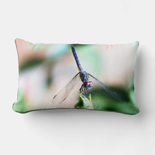 Dragon Fly Decorative Pillow (Front)