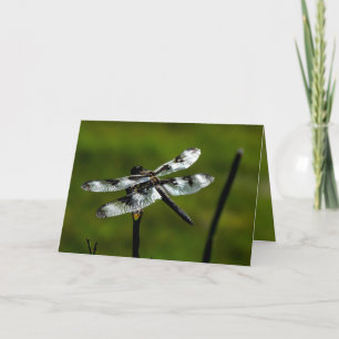 Dragon Fly Greeting Cards