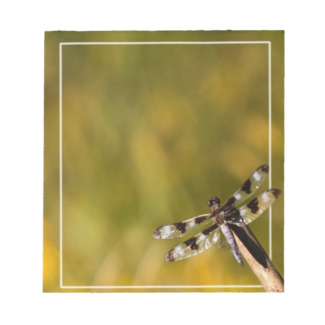 Dragon Fly Notepad (Front)