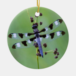 Dragon fly perched on grass, Canada Ceramic Ornament