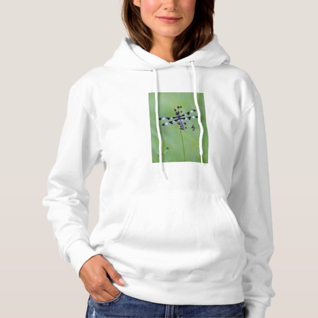 Dragon fly perched on grass, Canada Hoodie (Front)