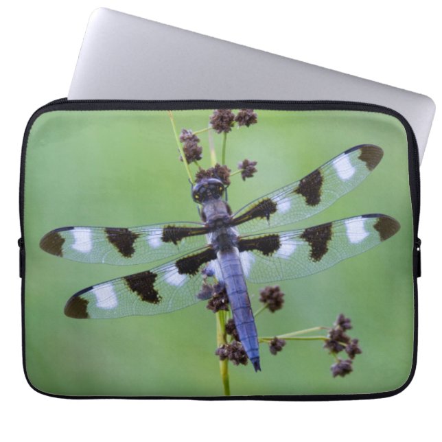 Dragon fly perched on grass, Canada Laptop Sleeve (Front)