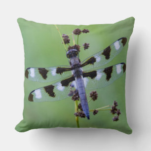 Dragon fly perched on grass, Canada Throw Pillow