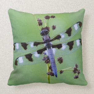 Dragon fly perched on grass, Canada Throw Pillow