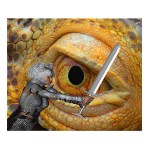 Dragon Folk tale Photo Print