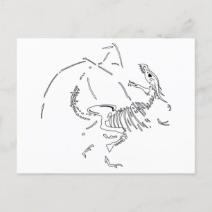Dragon Fossils Postcard
