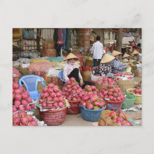 Dragon Fruit for Sale Postcard