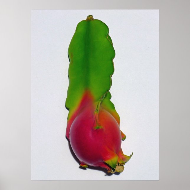 Dragon fruit poster (Front)