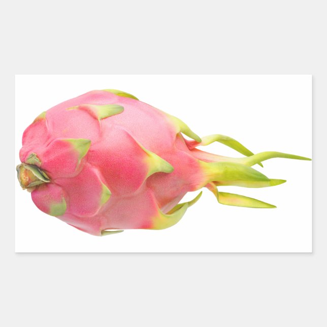 Dragon fruit sticker (Front)
