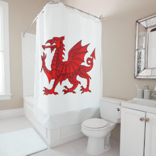 Dragon gallois avec rideau de douche à effet bise