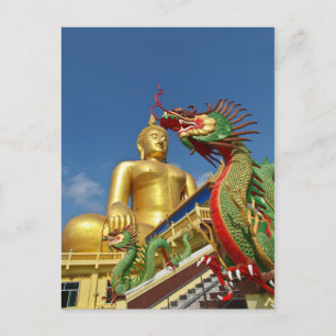 dragon guard postcard