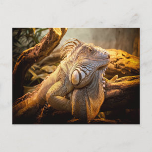 Dragon Iguana Postcard