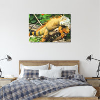 Dragon lizard