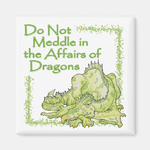 DRAGON MAGNET