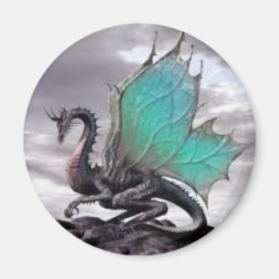 " Dragon Magnet ! "