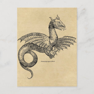 Dragon Parchment postcard