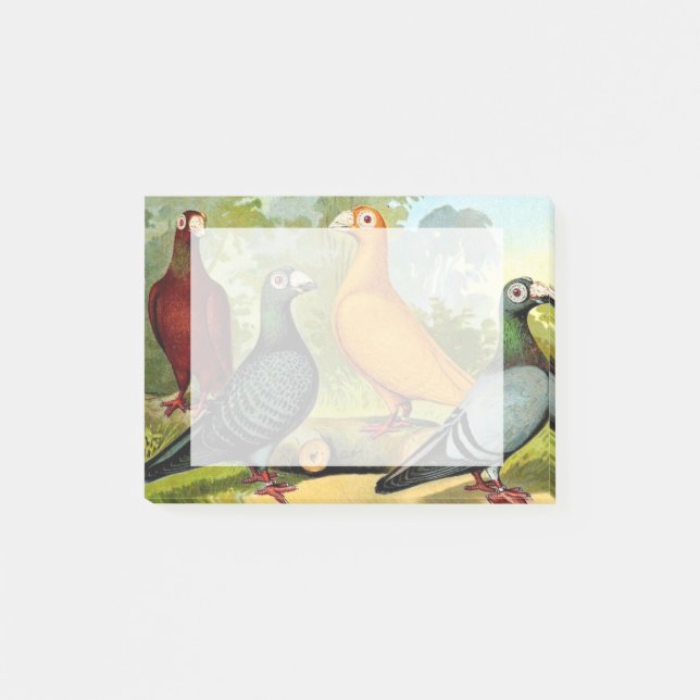 Dragon Pigeon Birds Post-it Notes (Front)