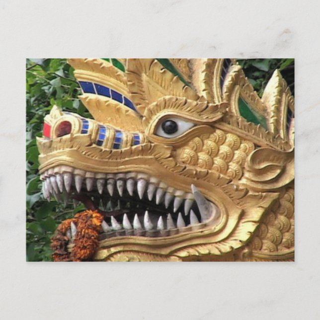 Dragon Postcard (Front)