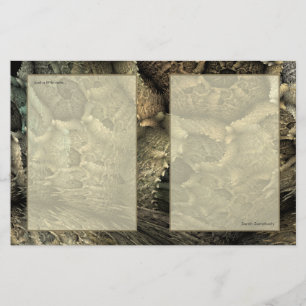 Dragon Skin Fractal Art Notepaper Stationery