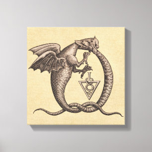 Dragon Snake Sulphur Mercury Symbols Canvas Print