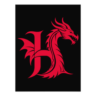 Dragon Styled Letter H, Dragon Alphabet, Monogram Photo Print