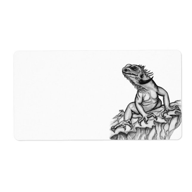 Dragon sur le rocher (Devant)