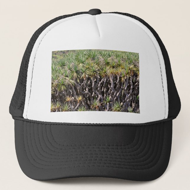 Dragon tree at Tenerife Trucker Hat (Front)