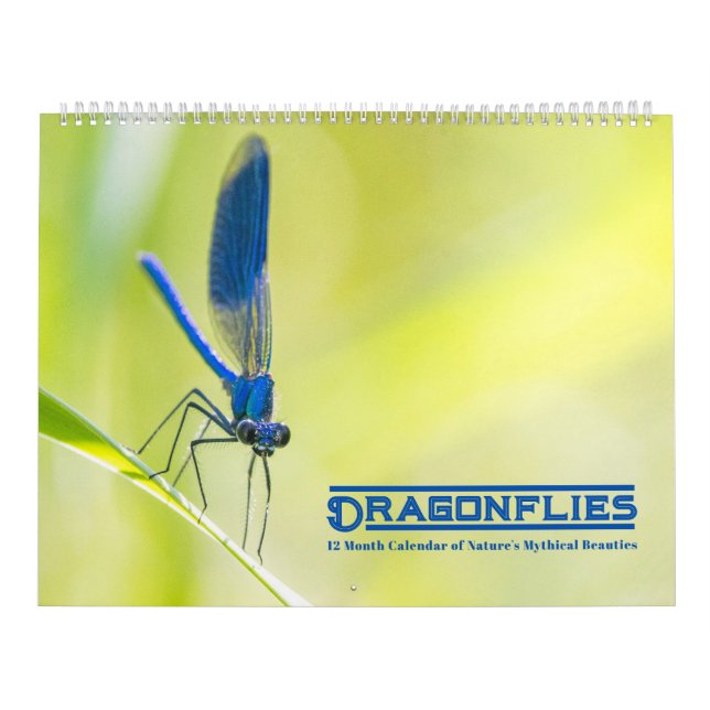 Dragonflies Calendar (Cover)