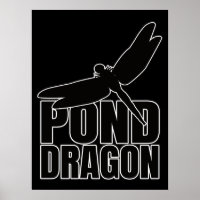 Dragonflies Dragonfly – Entomology Geek