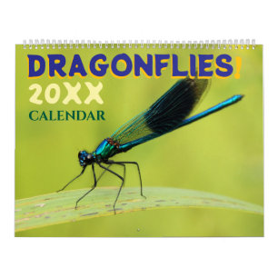 Dragonflies in Nature Wall Calendar Cute
