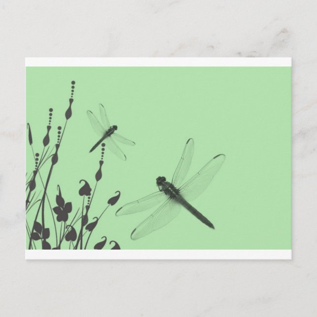 Dragonflies in the Grass Postcard (Front)