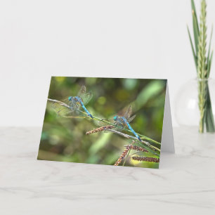 Dragonflies on Branch  Greeting Card