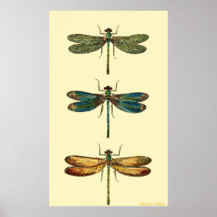 Dragonflies Poster