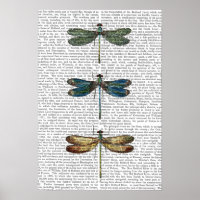 Dragonflies Print