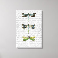 Dragonflies Print 3