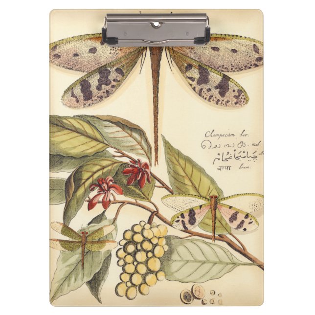Dragonflies with Leaves and Fruit Clipboard (Front)