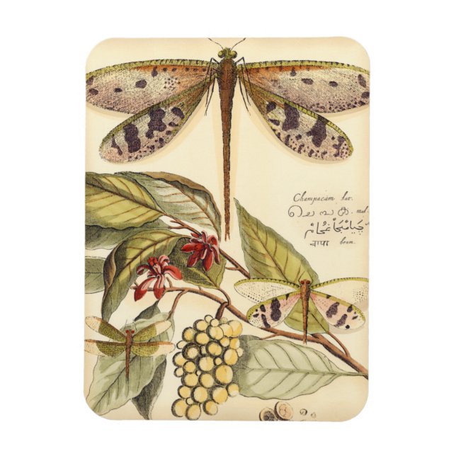 Dragonflies with Leaves and Fruit Magnet (Vertical)