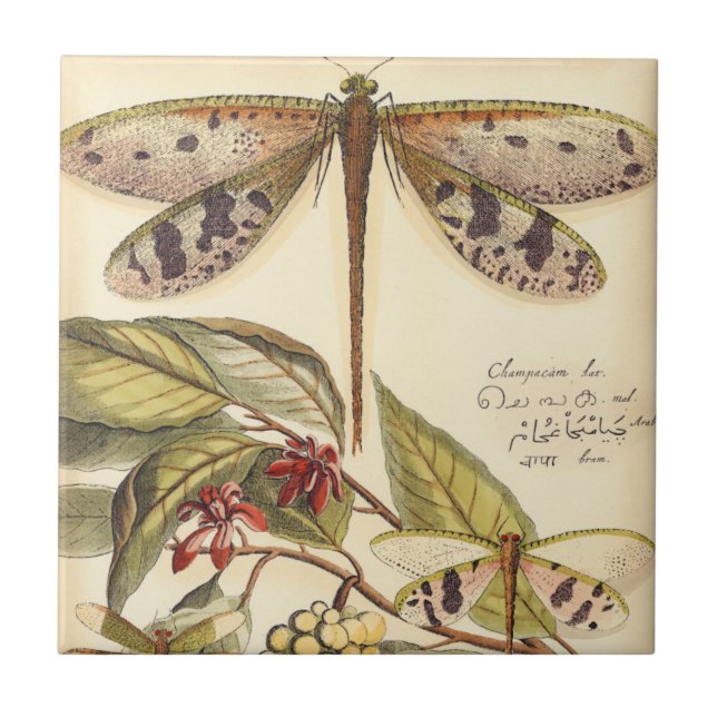 Dragonflies with Leaves and Fruit Tile (Front)